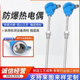 防爆型铂铑热电偶
